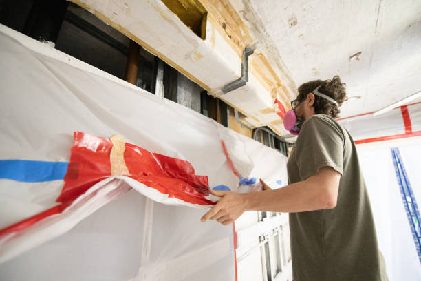 Best Industrial Mold Remediation  in Coldwater, MI
