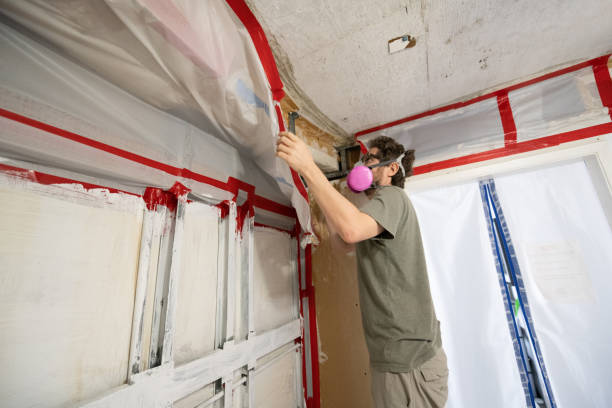 Best Biohazard Mold Removal  in Coldwater, MI