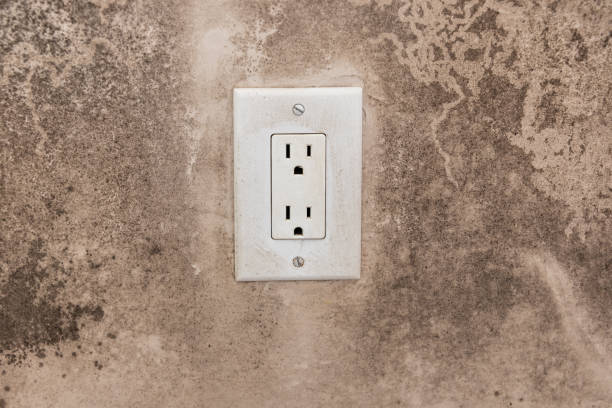 Best Dehumidification Services  in Coldwater, MI